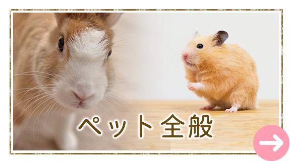 ペット全般