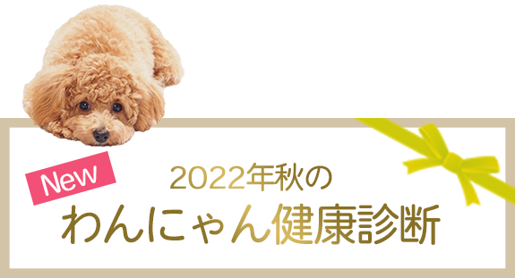 New 2022年秋のわんにゃん健康診断