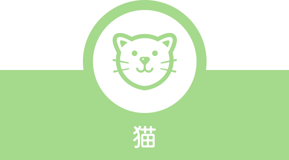 猫