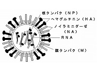 飼い主さんもペットさんも　風邪やインフルエンザにご用心！！