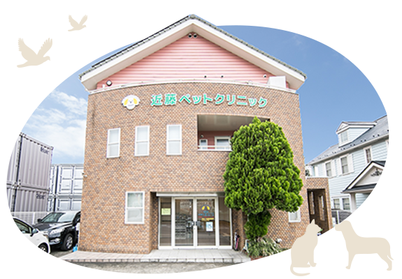 近藤ペットクリニック｜神奈川県緑区の動物病院