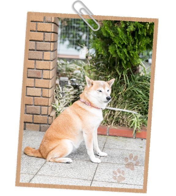 費用について