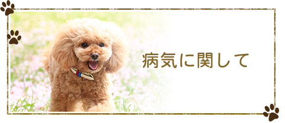 病気に関して