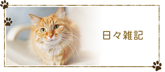 日々雑記