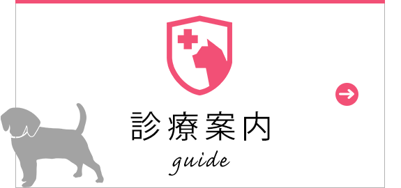 診療案内