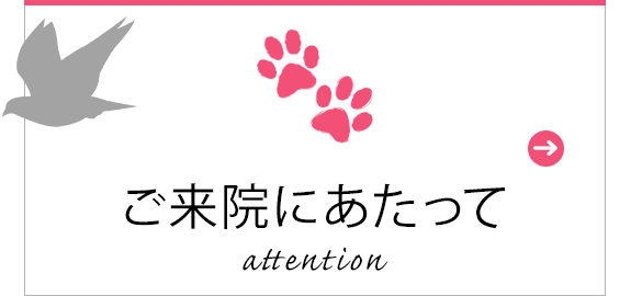 ご来院にあたって