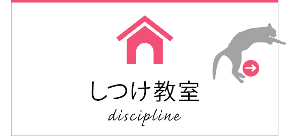 しつけ教室