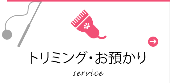 トリミング・お預かり