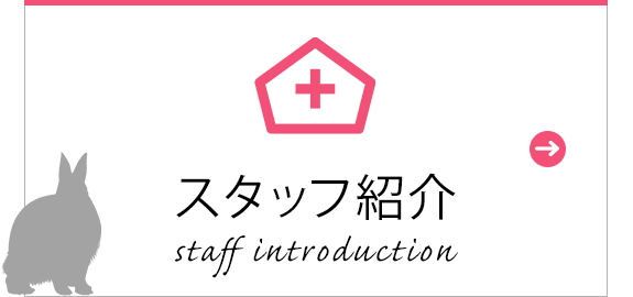スタッフ紹介