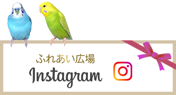 ふれあい広場　Instagram