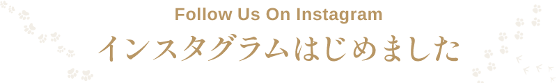 インスタグラムはじめました