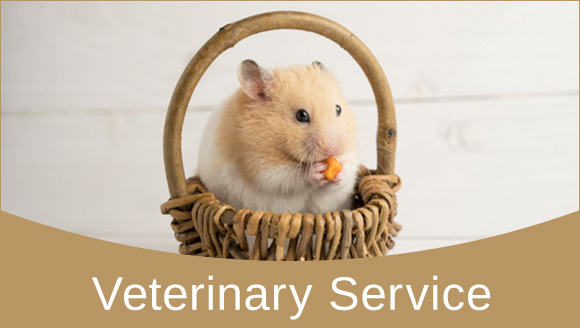 Veterinary Service