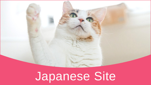 Japanese Site