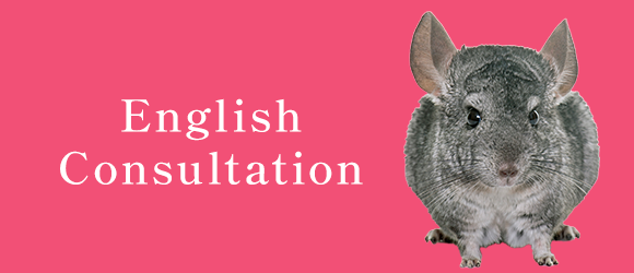 English Consultation