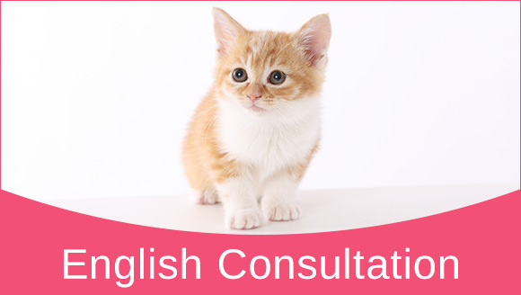 English Consultation