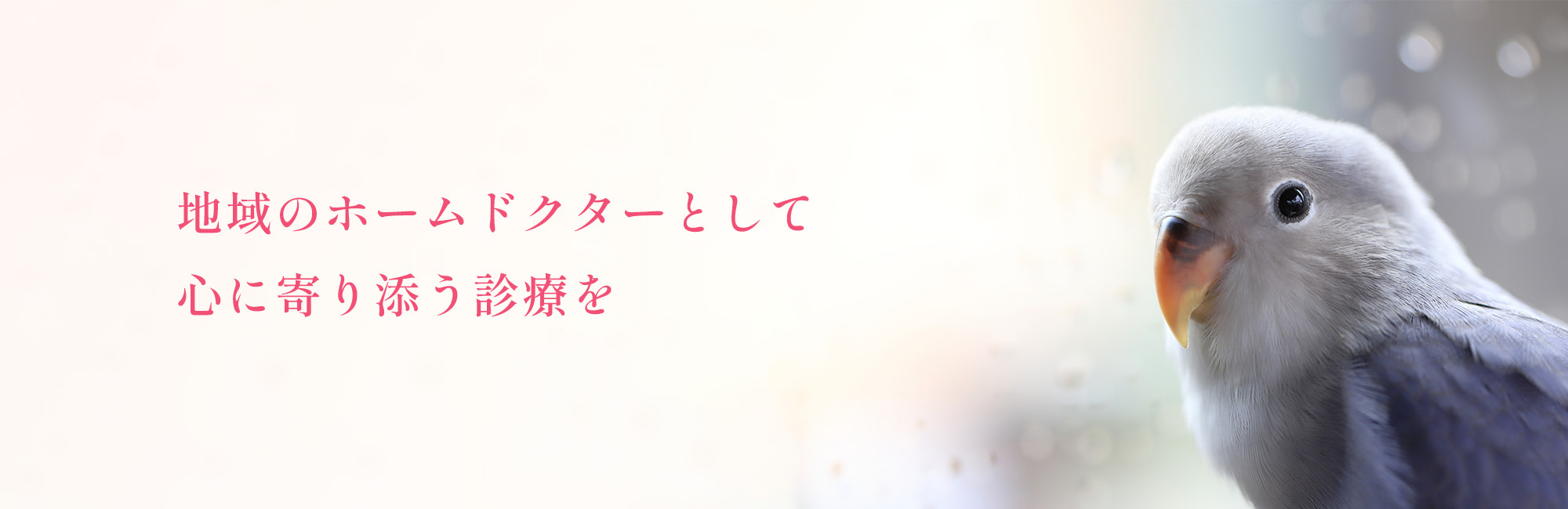 「地域のホームドクターとして  心に寄り添う診療を