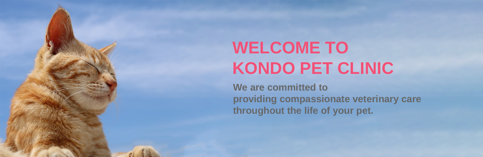WELCOME TO KONDO PET CLINIC