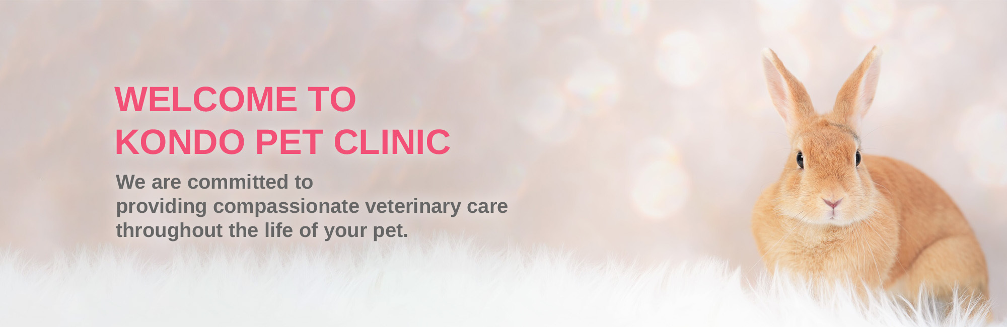 WELCOME TO KONDO PET CLINIC