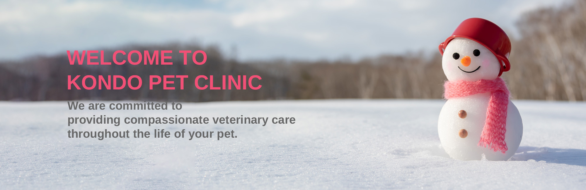 WELCOME TO KONDO PET CLINIC