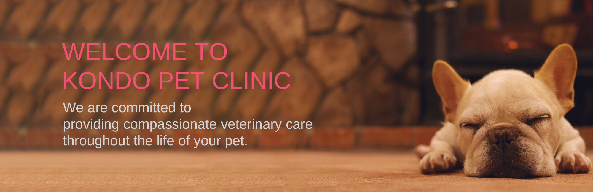 WELCOME TO KONDO PET CLINIC