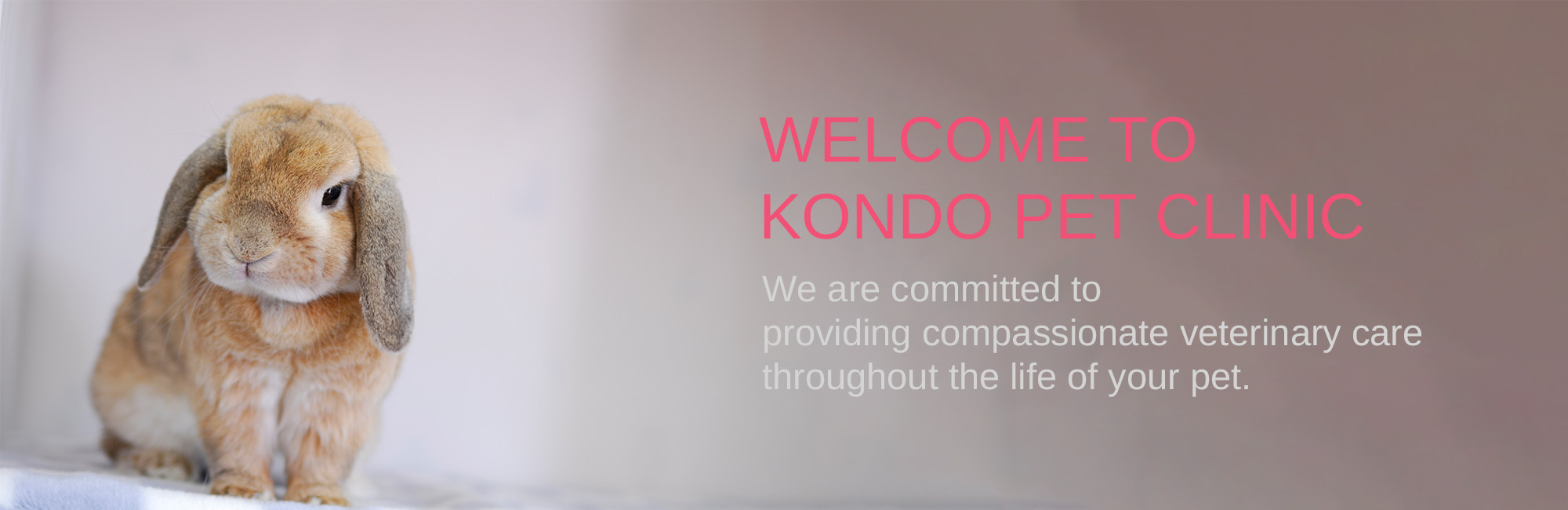 WELCOME TO KONDO PET CLINIC