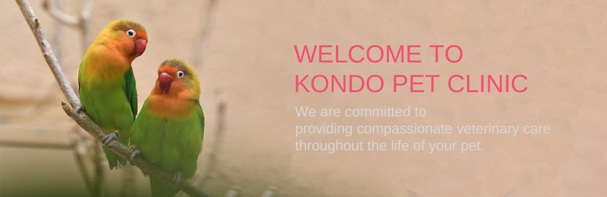 WELCOME TO KONDO PET CLINIC