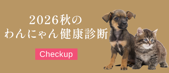 2026年秋のわんにゃん健康診断