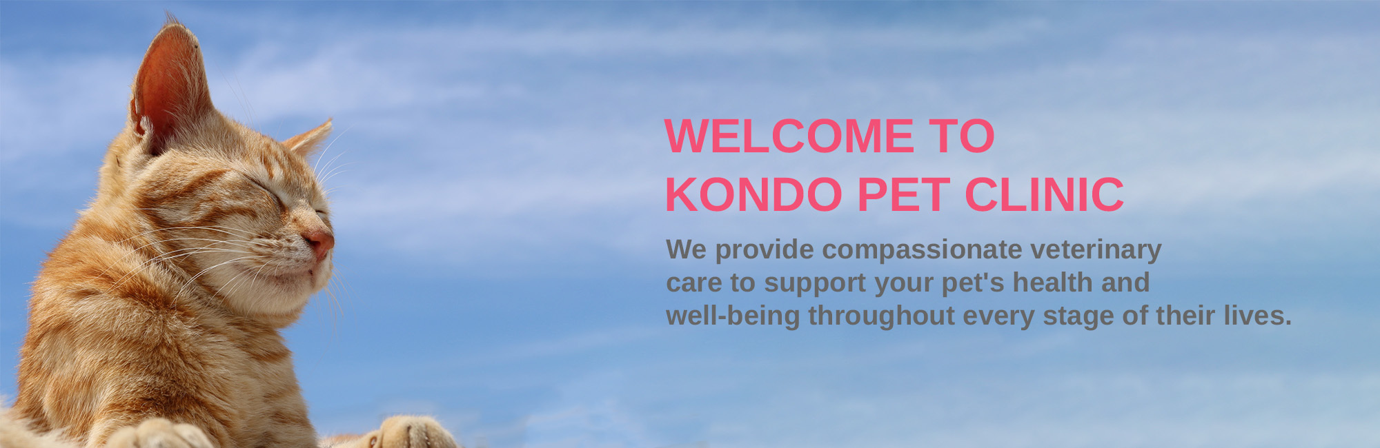 WELCOME TO KONDO PET CLINIC