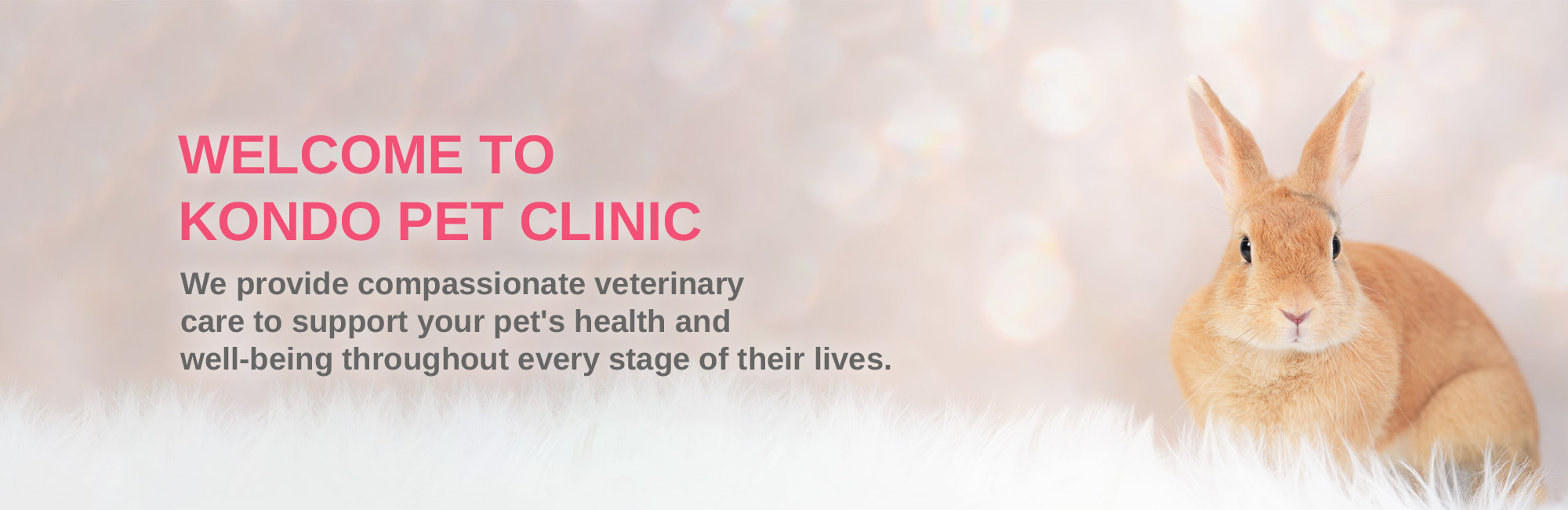 WELCOME TO KONDO PET CLINIC