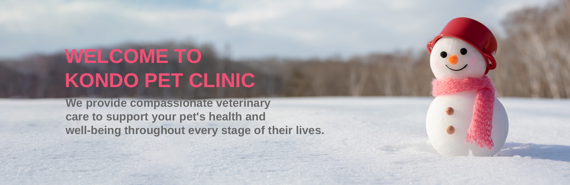 WELCOME TO KONDO PET CLINIC