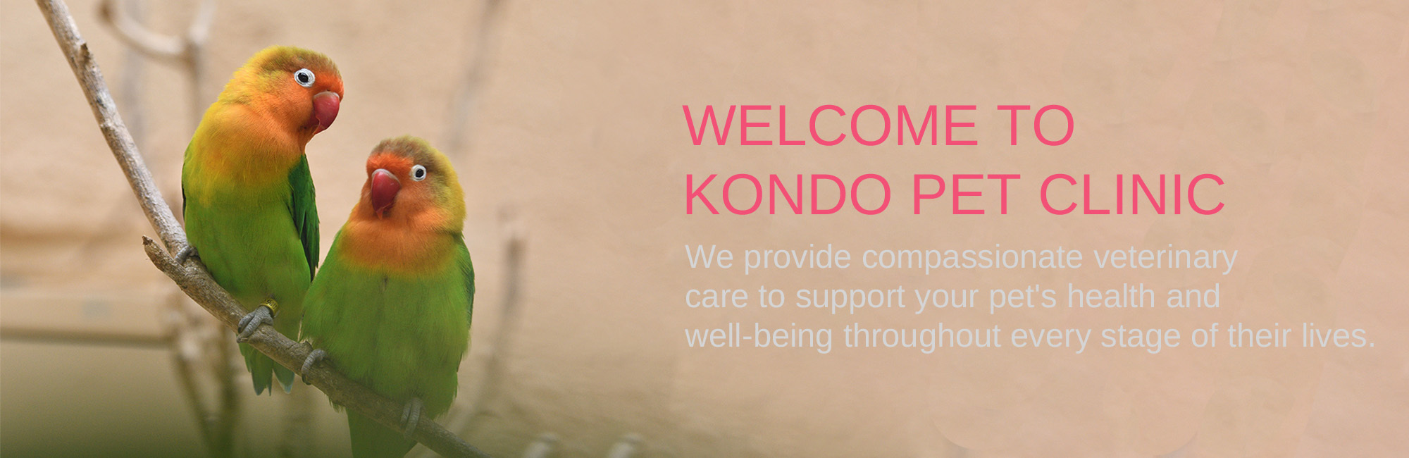 WELCOME TO KONDO PET CLINIC