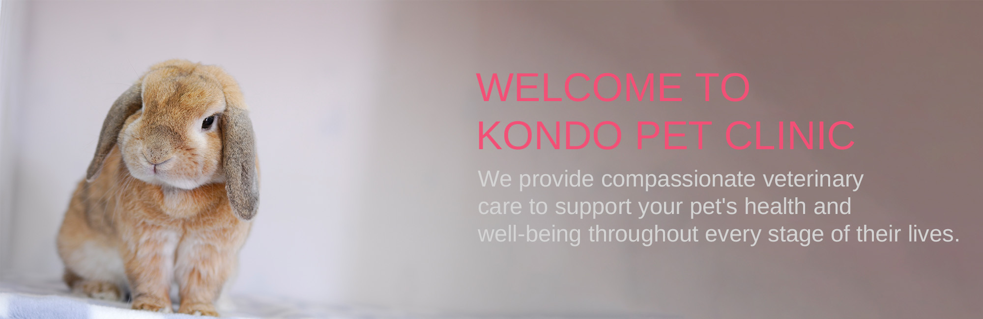 WELCOME TO KONDO PET CLINIC