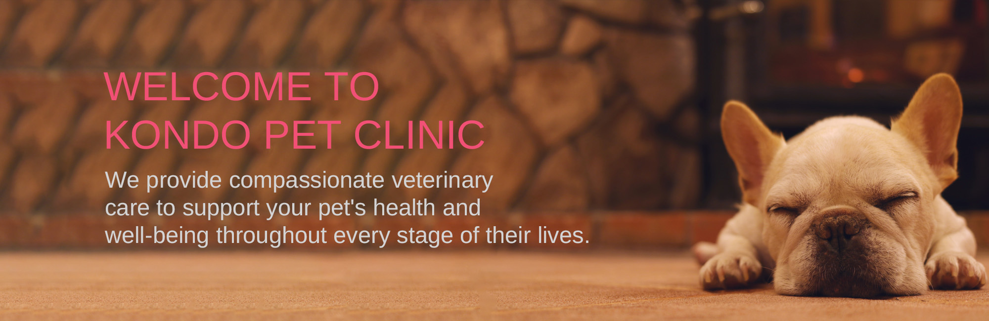 WELCOME TO KONDO PET CLINIC