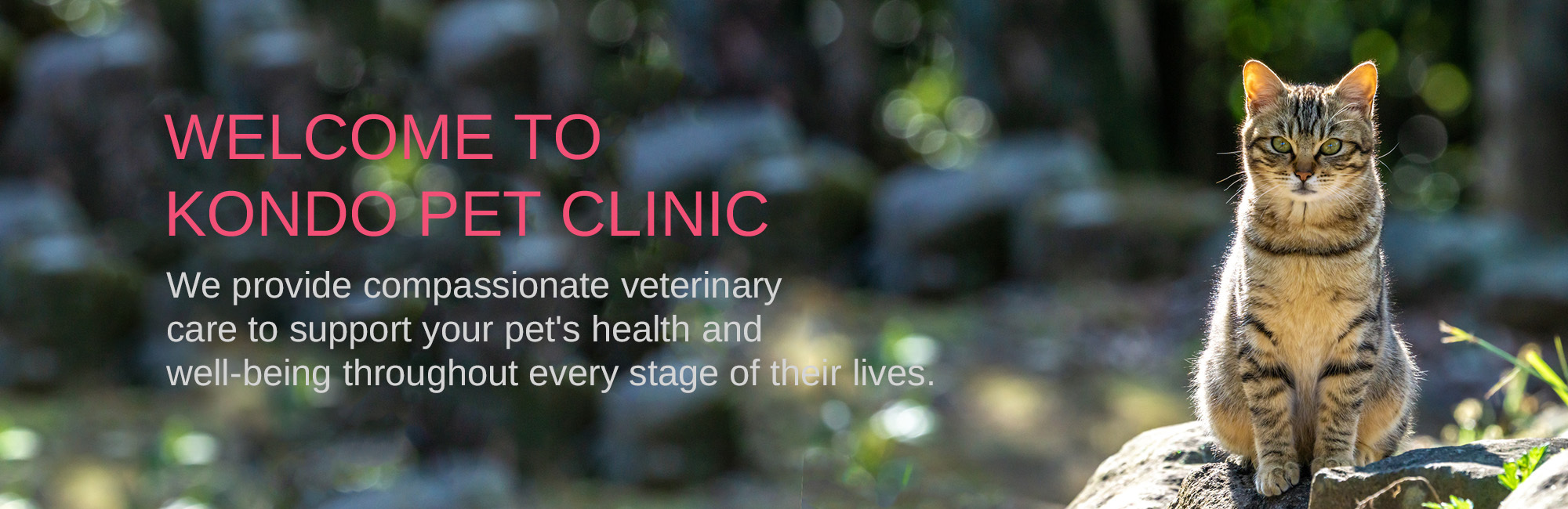 WELCOME TO KONDO PET CLINIC